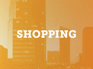 shopping attractions page