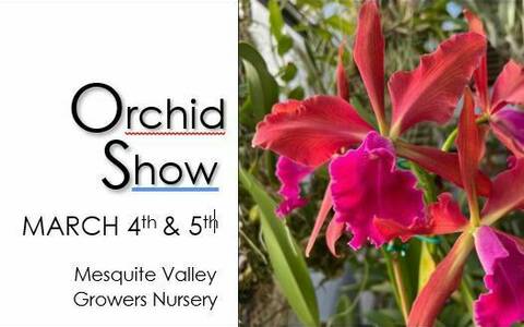 Tucson Orchid Society's - 2023 Orchid Show