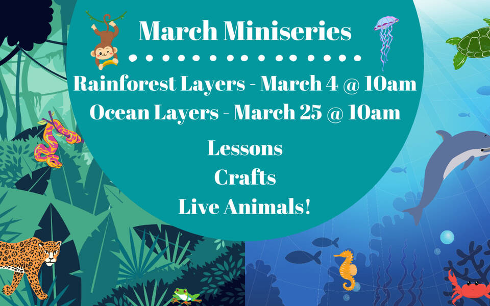 2 Part March Miniseries - Rainforest Layers