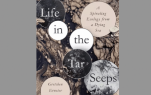 Summer Social--Life in the Tar Seeps: A Spiraling Ecology from a Dying Sea with Gretchen E. Henderso