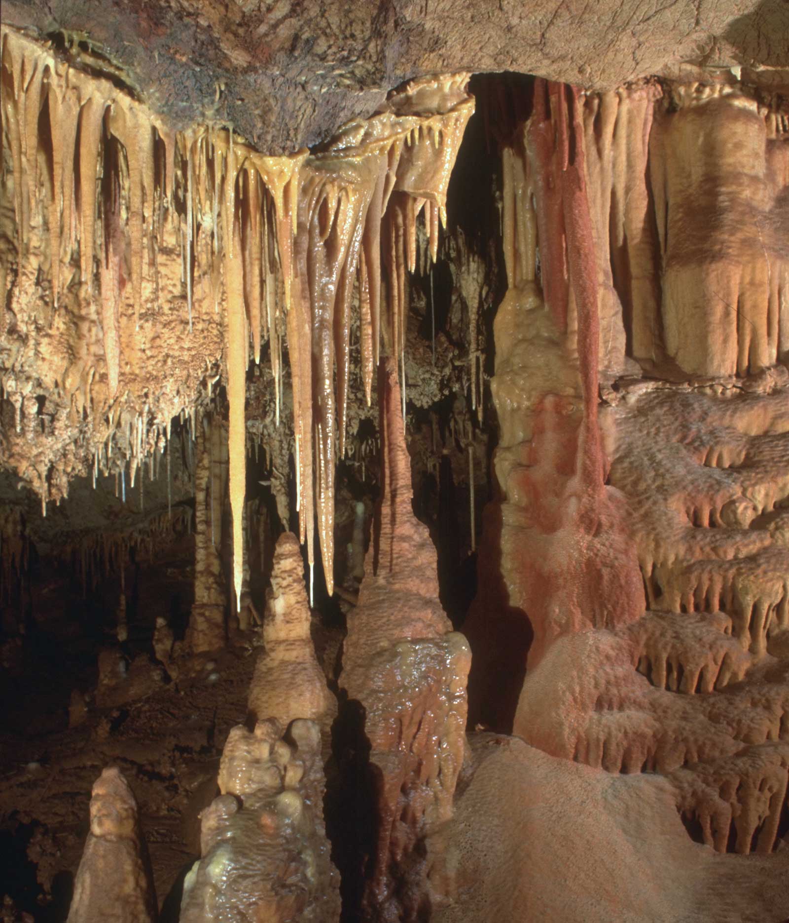 Image result for kartchner caverns