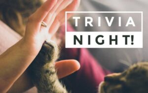 Cat Trivia Night
