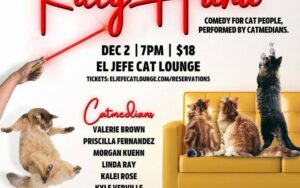 KITTY HAHA COMEDY NIGHT FOR CATS; PERFORMED BY CAT PEOPLE!