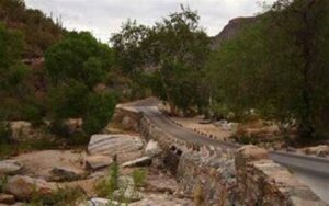 Sabino Canyon Discovery Nature Walk