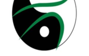 Tai Chi & Qigong Classes