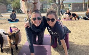 GOT Yoga Goats of Tucson