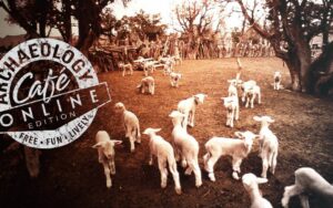 Archaeology Café: Collaborating with Diné Communities