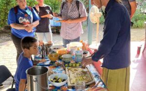 Family Saturdays! ¡Sábados Familiares!