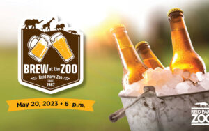 Brew at the Zoo 2023