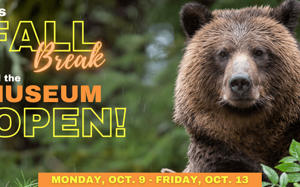 Museum Open Daily for Fall Break!