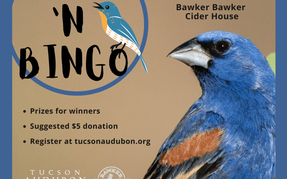 Birds n' Bingo w/ Tucson Audubon Society