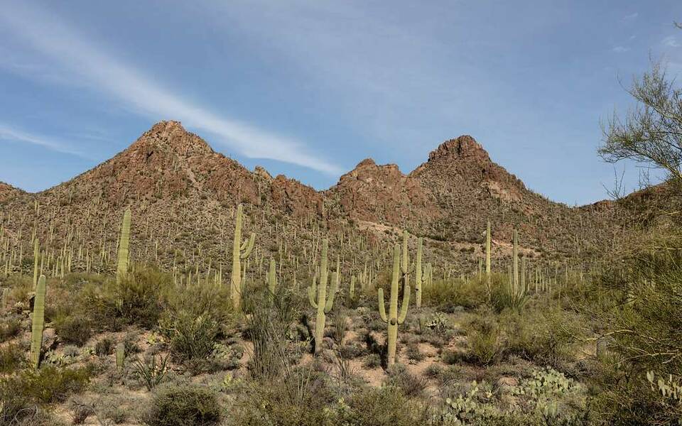 Wild Skills: Let's Hike Tucson Mountain Park!