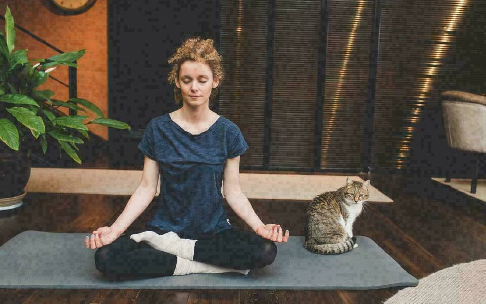 Meditation - Sound Bath with Crystal Bowls & Cats