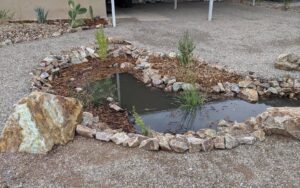 Hydrate at the Living Lab: Rain Garden Care Class